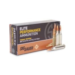 https://www.gun-firearms.com/wp-content/uploads/A0002/ammunitiondepot/dscn5273.jpg