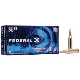 https://www.gun-firearms.com/wp-content/uploads/A0002/ammunitiondepot/fp_243b_243winjsp_powershok_combo_r.jpg