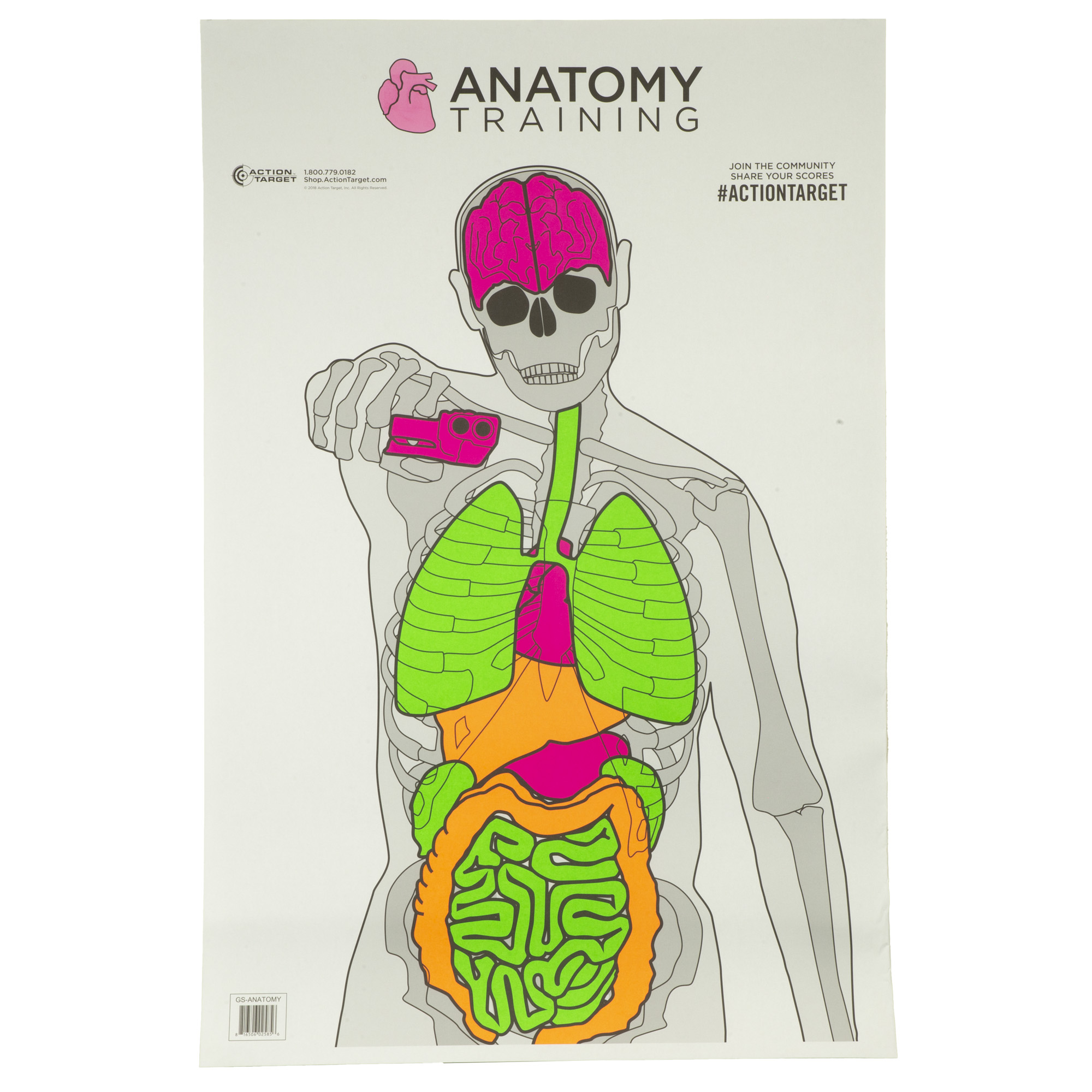 https://www.gun-firearms.com/wp-content/uploads/A0002/gungear/ACTGS-ANATOMY-100_1_HR.jpg